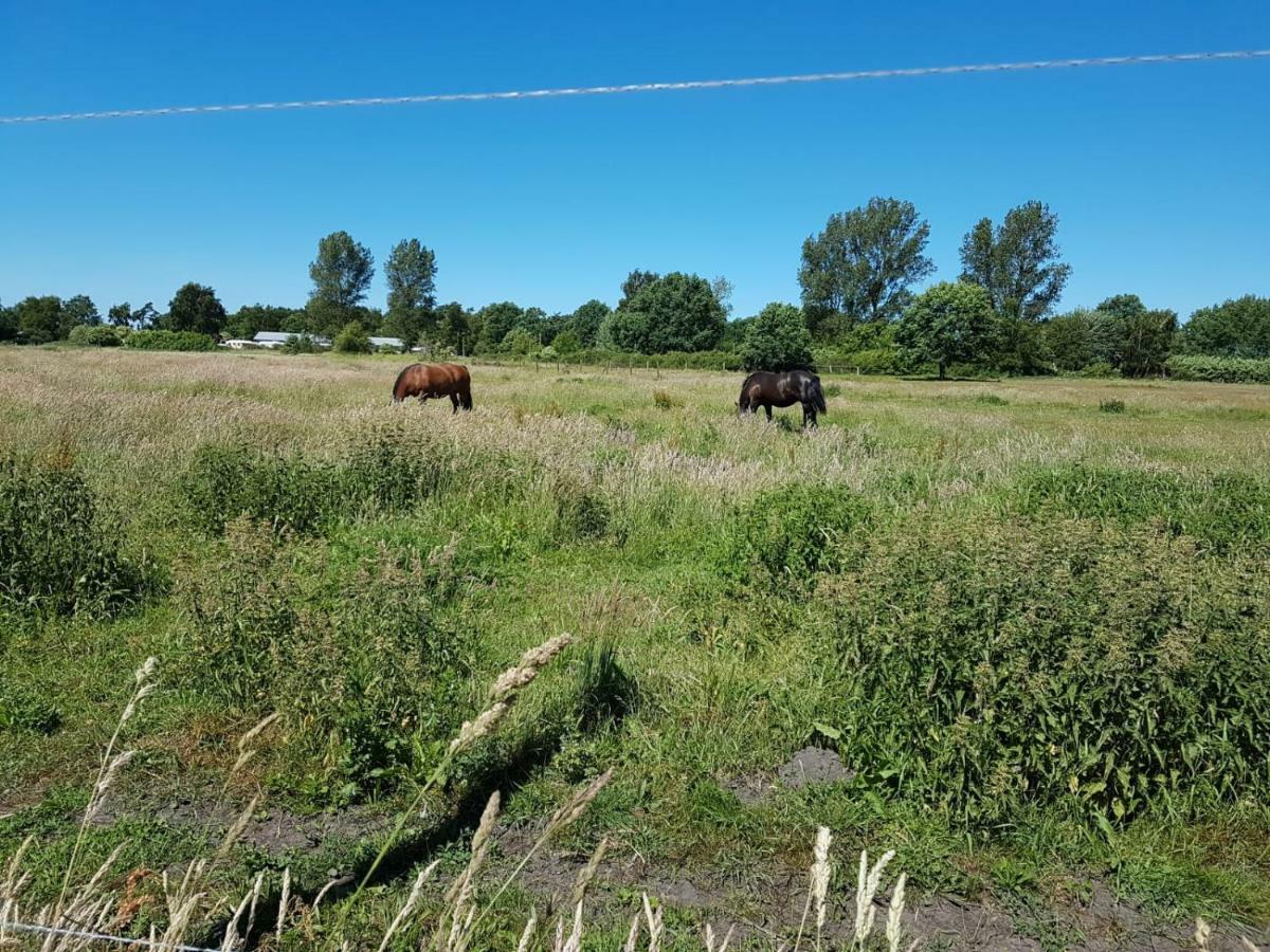 Urlaub Bei Hauenstein Apartman Born Kültér fotó