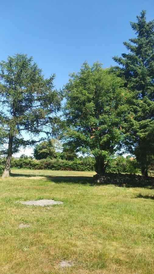 Urlaub Bei Hauenstein Apartman Born Kültér fotó
