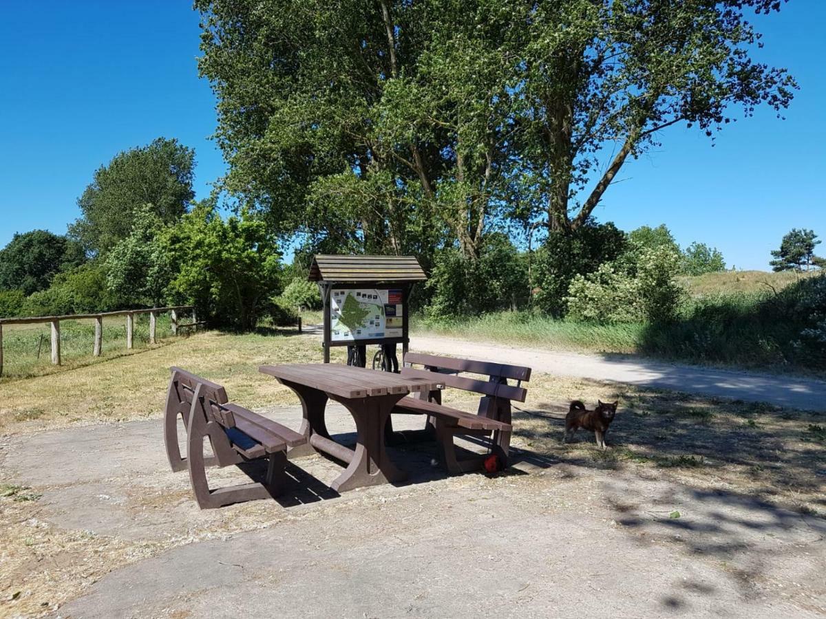 Urlaub Bei Hauenstein Apartman Born Kültér fotó