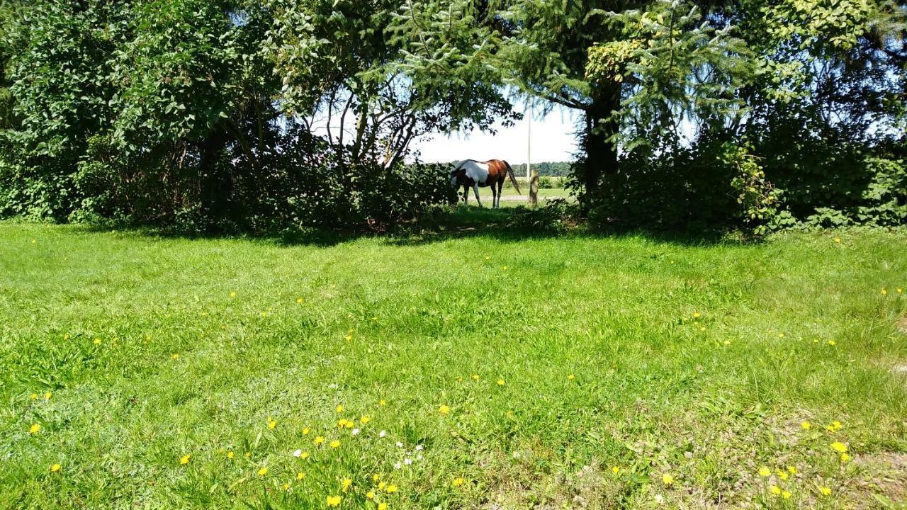 Urlaub Bei Hauenstein Apartman Born Kültér fotó